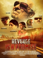 Revenge Is a Promise 2018 HDRip XviD AC3-EVO