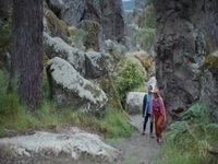 Back To Nature S01E04 480p x264-mSD EZTV Back To Nature S01E04 480p x264-mSD EZTV