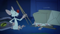 Animaniacs 2020 S01E13 720p HEVC x265-MeGusta EZTV Animaniacs 2020 S01E13 720p HEVC x265-MeGusta EZTV