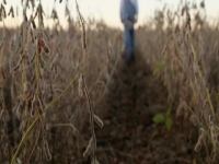 CBC Docs POV S02E17 480p x264-mSD [eztv]