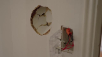 Renters S11E08 XviD-AFG EZTV