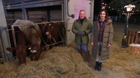 Winter On The Farm S02E03 XviD-AFG EZTV