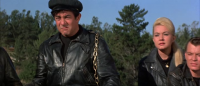 Beach Blanket Bingo 1965 BRRip XviD MP3-XVID