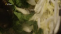 DNA Dinners S01E10 XviD-AFG EZTV