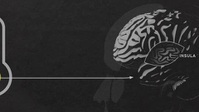 NOVA S50E10 Your Brain Whos in Control XviD-AFG EZTV NOVA S50E10 Your Brain Whos in Control XviD-AFG EZTV