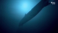 Wrecks That Changed The World S01E01 XviD-AFG EZTV