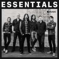 Foo Fighters - Essentials (2020) Mp3 320kbps [PMEDIA] ️