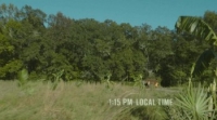 The Sacrament (2013) [BluRay] [720p] [YTS] [YIFY]