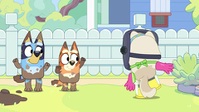 Bluey S03E36 XviD-AFG EZTV Bluey S03E36 XviD-AFG EZTV
