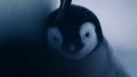 Hostile Planet S01E06 Polar 720p HEVC x265-MeGusta [eztv]