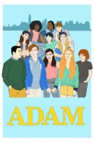 Adam 2019 HDRip AC3 x264-CMRG[TGx]