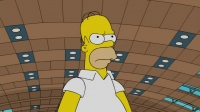 The Simpsons S27E20 HDTV x264 FLEET rarbg