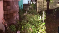 Paranormal Caught on Camera S08E04 1080p HEVC x265-MeGusta EZTV