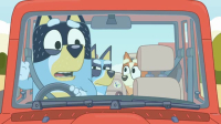 Bluey S01E34 iNTERNAL XviD-AFG EZTV Bluey S01E34 iNTERNAL XviD-AFG EZTV