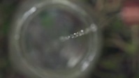 Moonshiners S11E03 720p HEVC x265-MeGusta EZTV