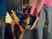 Puppy Place S01E04 480p x264-mSD EZTV