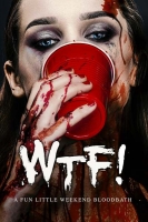 Wtf 2017 720p AMZN WEBRip 800MB x264-GalaxyRG