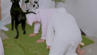 Taskmaster NZ S02E02 720p HEVC x265-MeGusta EZTV