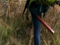Aussie Gold Hunters S08E06 480p x264-mSD EZTV Aussie Gold Hunters S08E06 480p x264-mSD EZTV