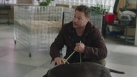 Strays S02E02 720p WEBRip x264-BAE EZTV