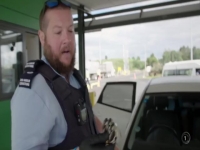 Dog Squad S11E03 480p x264-mSD EZTV