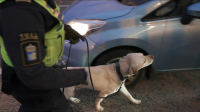 Border Control Sweden S01E11 1080p WEB H264-CBFM EZTV Border Control Sweden S01E11 1080p WEB H264-CBFM EZTV