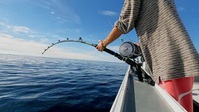 Wicked Tuna S12E17 XviD-AFG EZTV Wicked Tuna S12E17 XviD-AFG EZTV