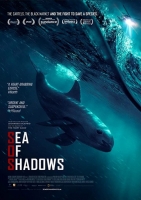 Sea of Shadows (2019) 720p 10bit WEBRip x265-budgetbits