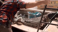 Monster Croc Wrangler Compilations S04E04 XviD-AFG EZTV Monster Croc Wrangler Compilations S04E04 XviD-AFG EZTV