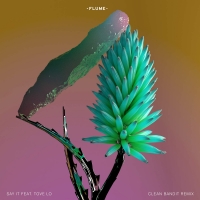 Flume - Say It (feat. Tove Lo) [Clean Bandit Remix][2016]{PRADYUTVAM2}