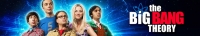The Big Bang Theory S12E21 XviD-AFG[TGx]