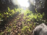 Top Jobs For Dogs S01E02 480p x264-mSD [eztv]