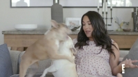 Total Bellas S06E05 720p WEB h264-BAE EZTV Total Bellas S06E05 720p WEB h264-BAE EZTV