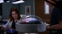 Greys Anatomy S15E01 XviD-AFG [eztv]