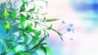 The Ancient Magus Bride S02E01 1080p HEVC x265-MeGusta EZTV