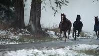 Fire Country S01E12 720p HEVC x265-MeGusta EZTV