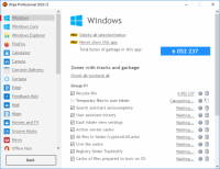 Wipe Professional 2020.17 Multilingual