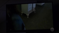 Supernatural S14E04 XviD-AFG EZTV