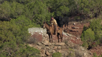 Aerial Adventures S01E11 Wild Creatures XviD-AFG EZTV