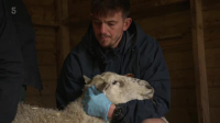 The Yorkshire Vet S18E06 XviD-AFG EZTV The Yorkshire Vet S18E06 XviD-AFG EZTV