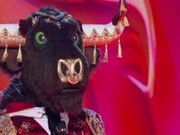The Masked Singer S06E14 480p x264-mSD EZTV The Masked Singer S06E14 480p x264-mSD EZTV