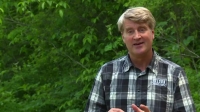 Treehouse Masters S09E06 The Bird Barn Treehouse WEB x264-CRiMSON[eztv]