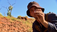 Aussie Gold Hunters S08E12 1080p HEVC x265-MeGusta EZTV Aussie Gold Hunters S08E12 1080p HEVC x265-MeGusta EZTV