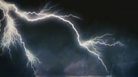Nature Gone Wild S01E12 720p HEVC x265-MeGusta EZTV Nature Gone Wild S01E12 720p HEVC x265-MeGusta EZTV