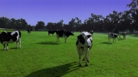 Buying the Cow (2002) [720p] [WEBRip] [YTS] [YIFY]