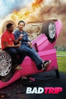 Bad Trip 2020 HDRip XviD AC3-EVO[TGx]