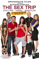 The Sex Trip 2017 720p WEBRip 800MB x264-GalaxyRG