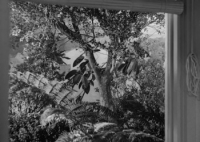 Somewhere in the Night (1946) [BluRay] [1080p] [YTS] [YIFY]