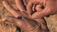 Aussie Gold Hunters S06E04 1080p HEVC x265-MeGusta EZTV Aussie Gold Hunters S06E04 1080p HEVC x265-MeGusta EZTV