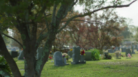 Interrogation Raw S02E09 720p WEB h264-EDITH EZTV Interrogation Raw S02E09 720p WEB h264-EDITH EZTV
